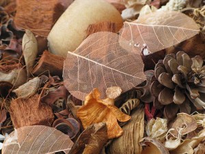 duchess diaries decor