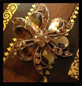 duchess-diaries-brooch