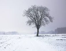 duchess-diaries-winter