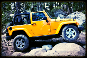 duchess-diaries-wrangler